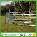 Baratos galvanizado Steel Cattle Panels para venda